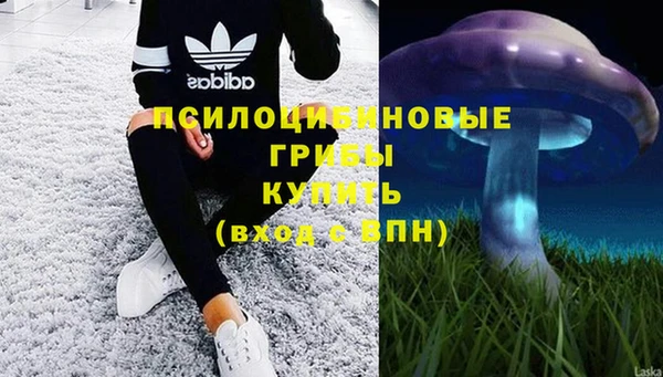 таблы Алзамай